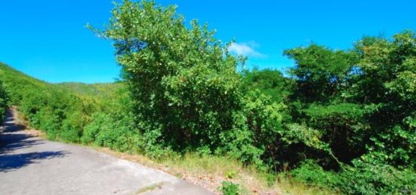 Crown Point Lot 7