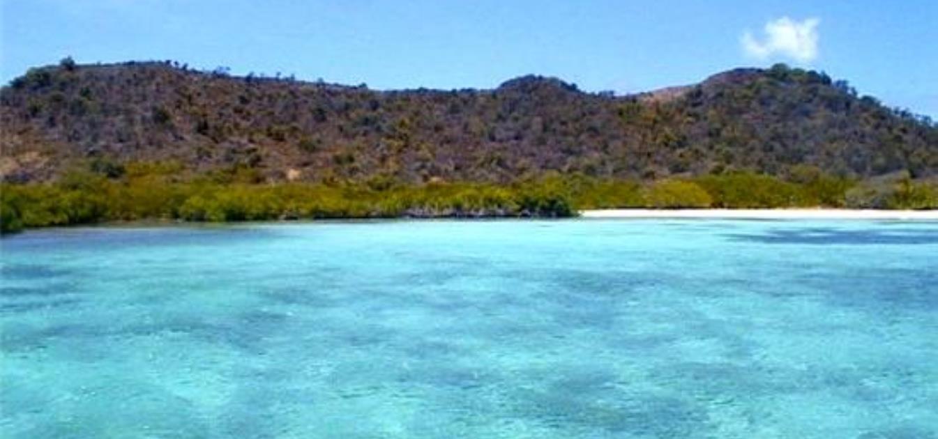 Private Island Saline Island