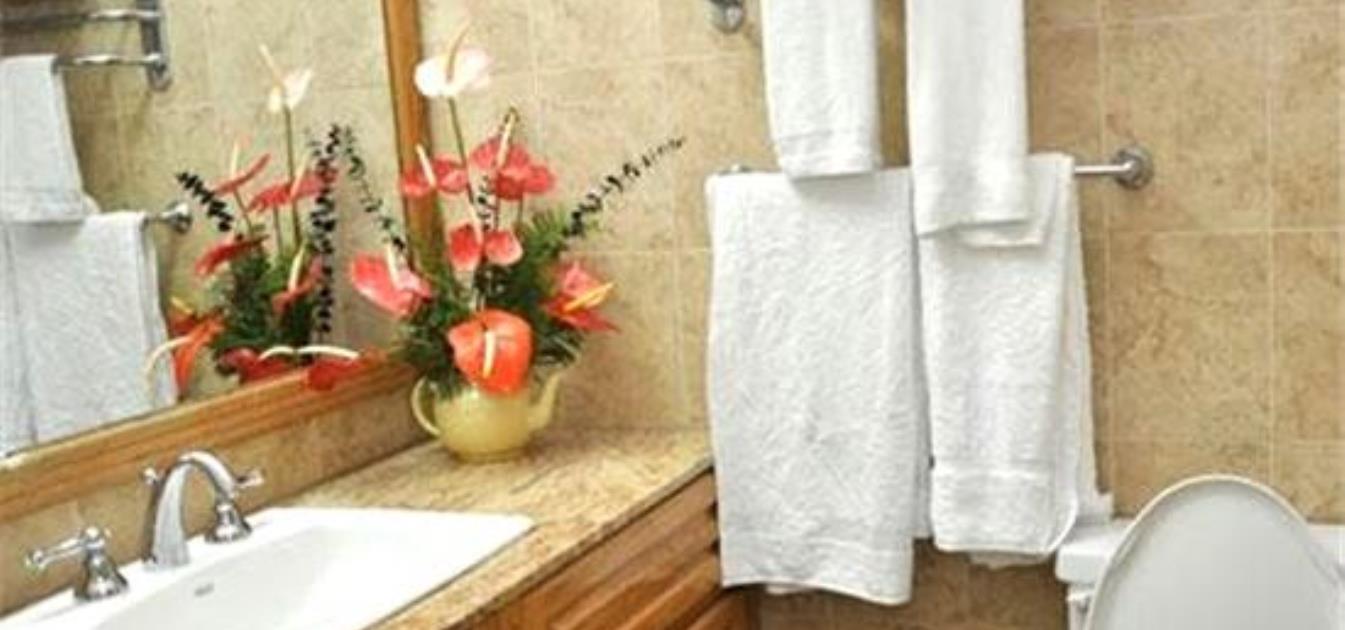 vacation-rentals/st-vincent-and-the-grenadines/st-vincent/kingstown/cobblestone-inn