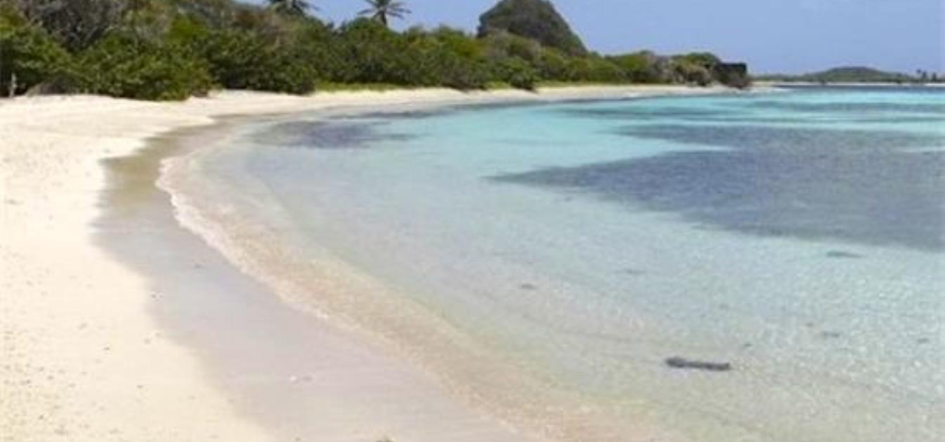 Private Island Saline Island