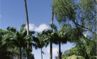 Sunset Shores Beach Hotel