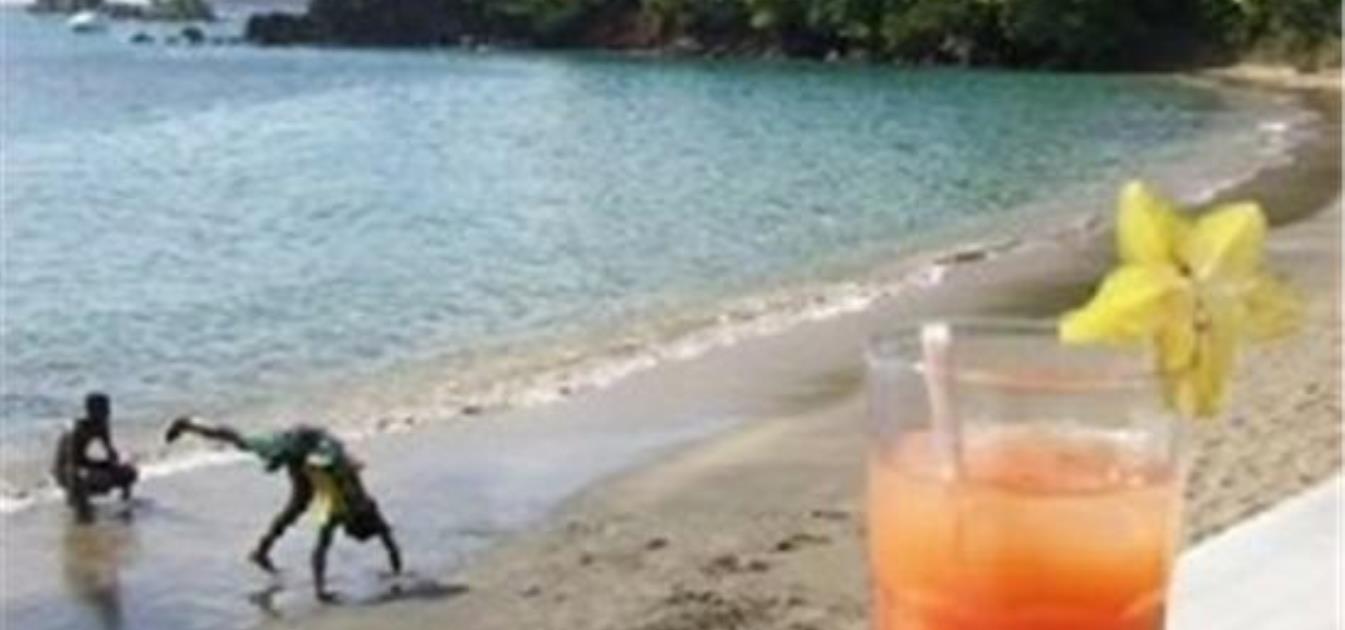 vacation-rentals/st-vincent-and-the-grenadines/st-vincent/india-and-villa-bay/paradise-beach-hotel