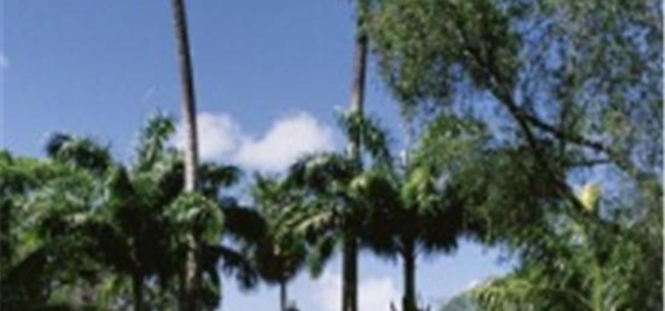 vacation-rentals/st-vincent-and-the-grenadines/st-vincent/india-and-villa-bay/mariners-hotel