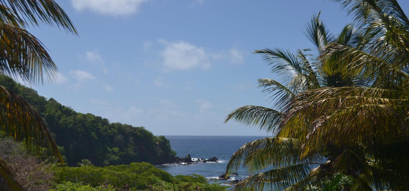 vacation-rentals/st-vincent-and-the-grenadines/st-vincent/brighton/artist-ocean-reflection-villa