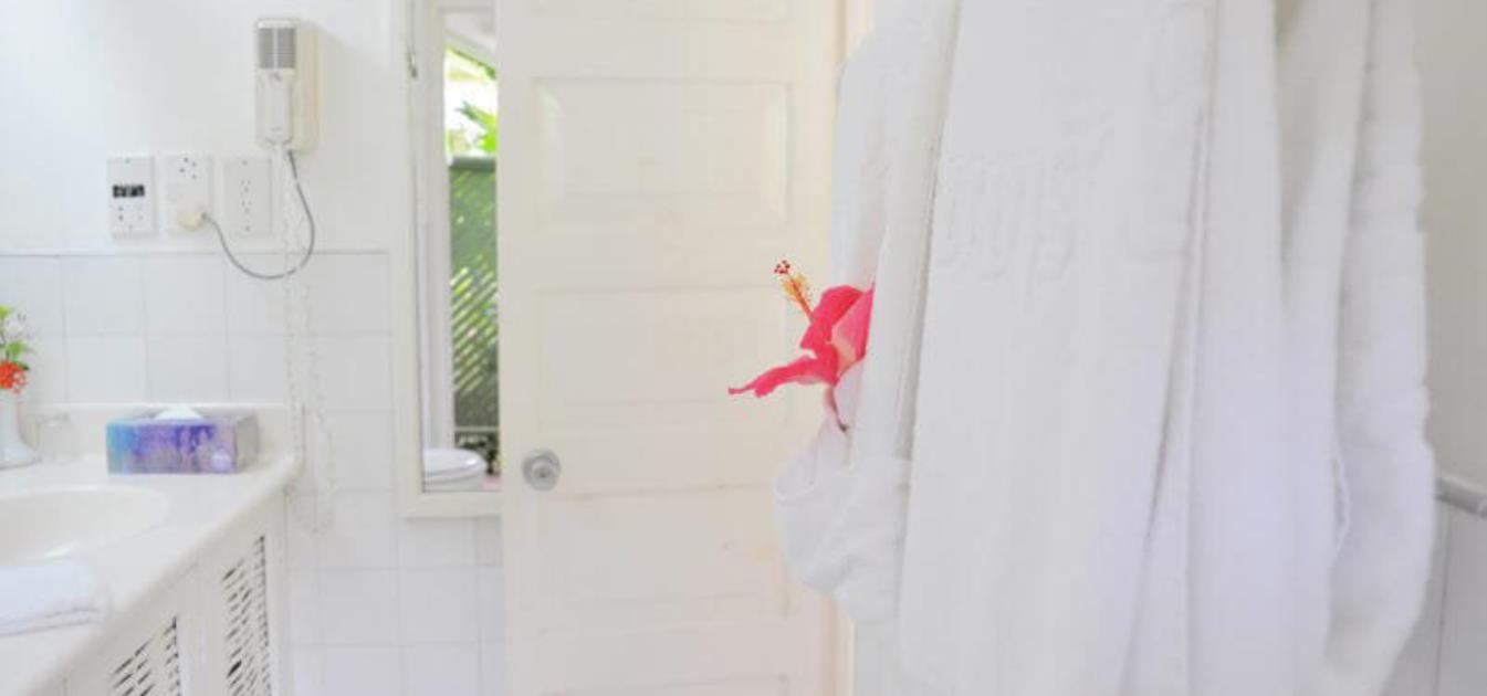 vacation-rentals/st-vincent-and-the-grenadines/st-vincent/young-island/young-island-superior-cottages