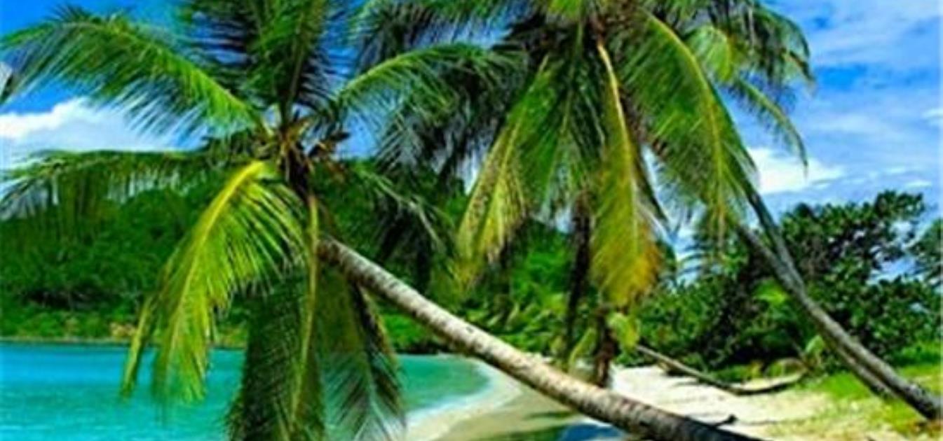 vacation-rentals/st-vincent-and-the-grenadines/union-island/clifton/kings-landing-hotel