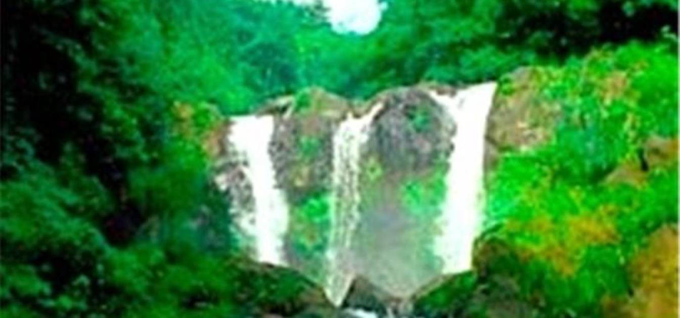 vacation-rentals/st-vincent-and-the-grenadines/st-vincent/kingstown/o'garro's-apartment