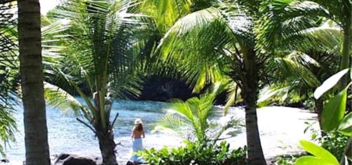 vacation-rentals/st-vincent-and-the-grenadines/st-vincent/kingstown/o'garro's-apartment