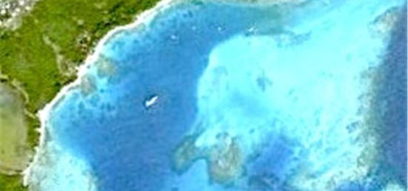 Coral Lagoon Beachfront
