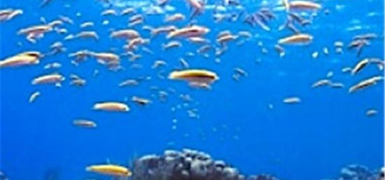 vacation-rentals/st-vincent-and-the-grenadines/special-properties/all-locations/late-availability