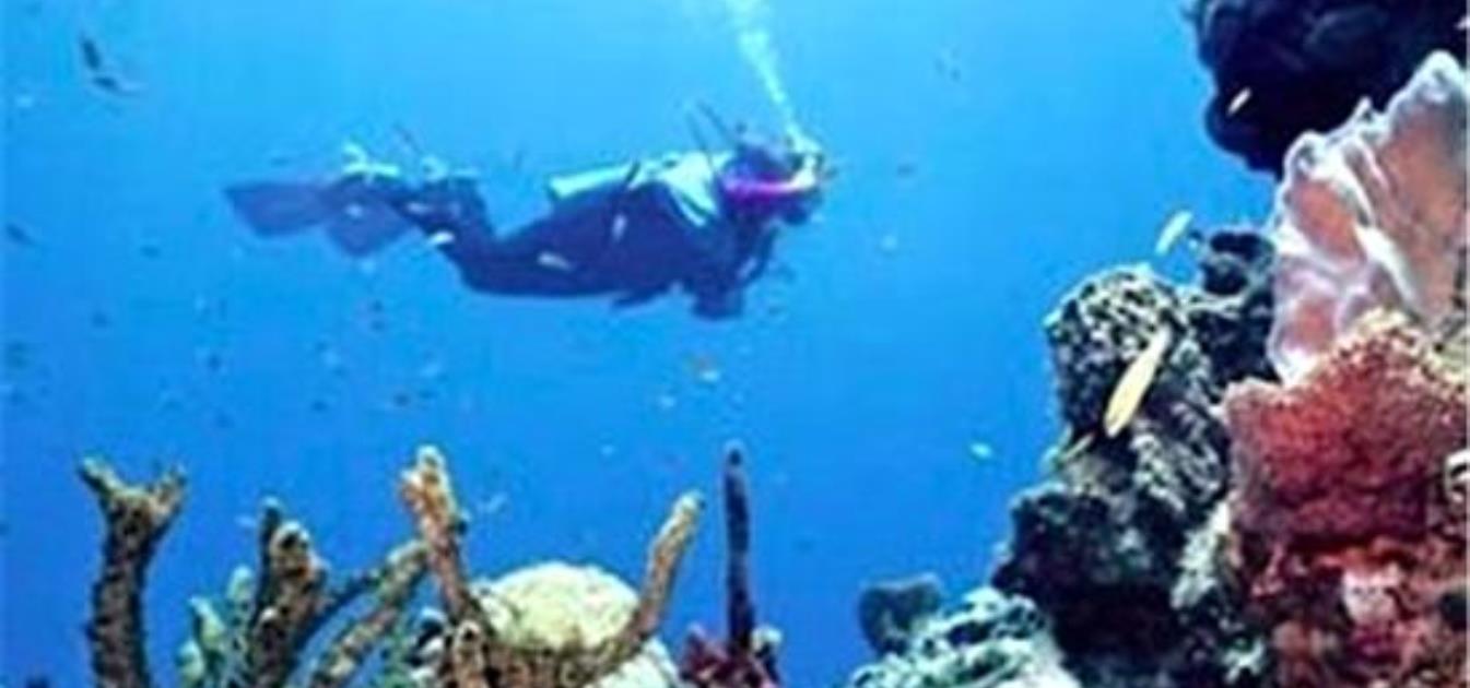 vacation-rentals/st-vincent-and-the-grenadines/special-properties/all-locations/late-availability