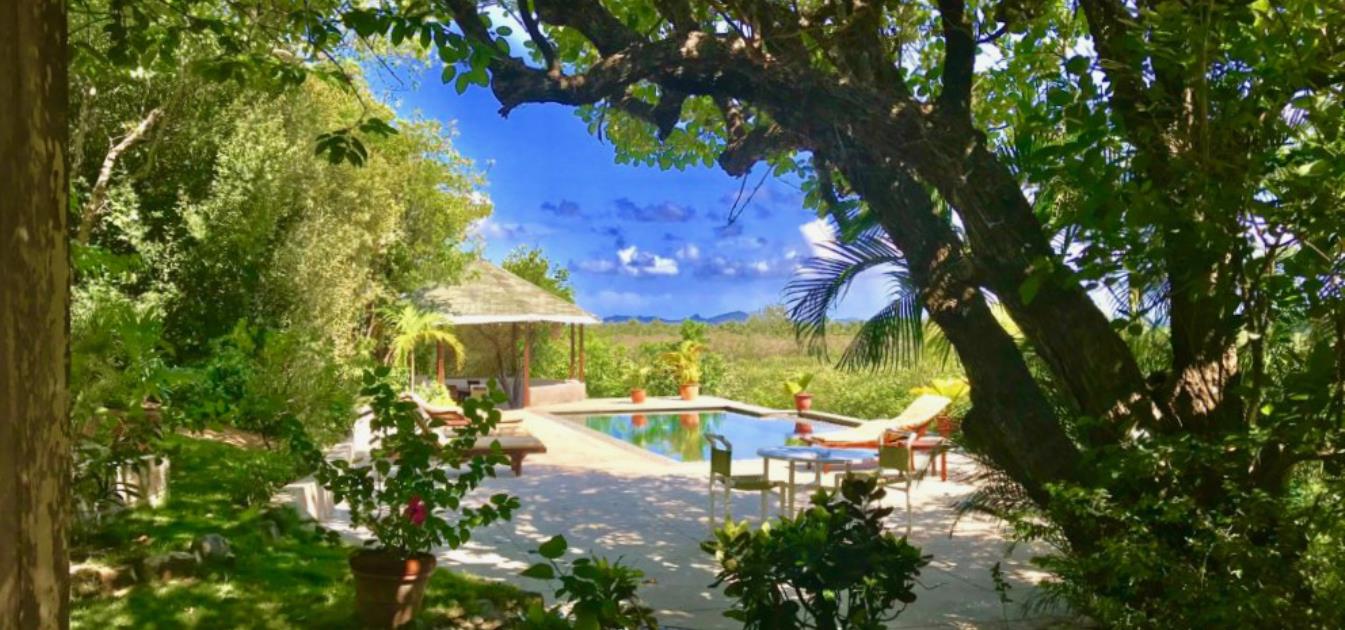 vacation-rentals/st-vincent-and-the-grenadines/mustique/central-hillside/buttercup-house