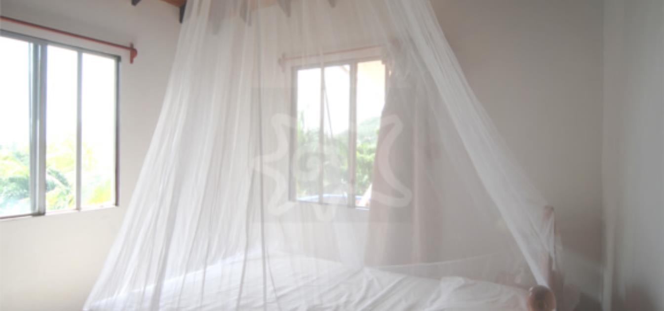 vacation-rentals/st-vincent-and-the-grenadines/bequia/friendship-bay/friendship-garden-apartments-1