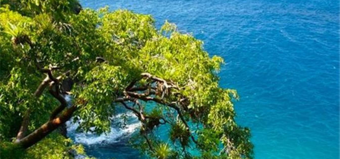 Moonhole Stoller Ridgetop Land