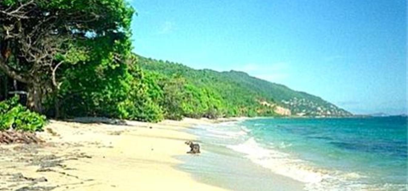 Moonhole Stoller Ridgetop Land