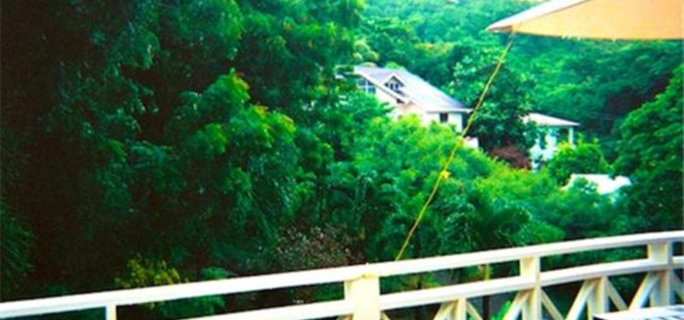 Lower Bay land