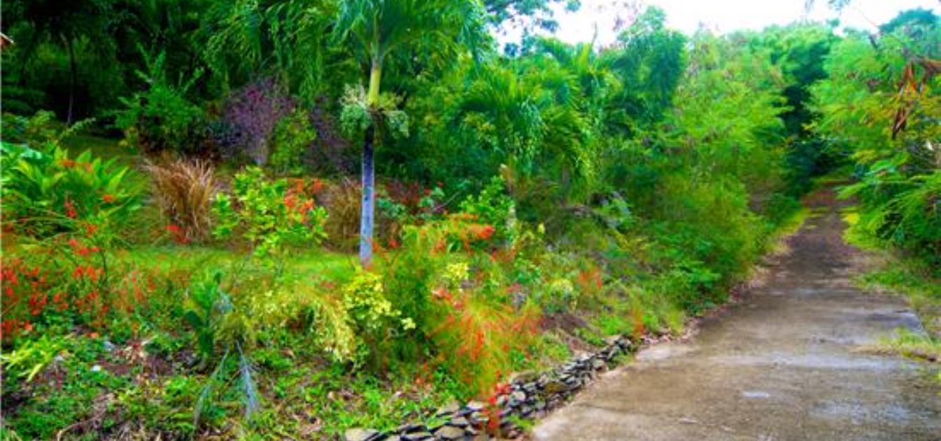 Lower Bay land