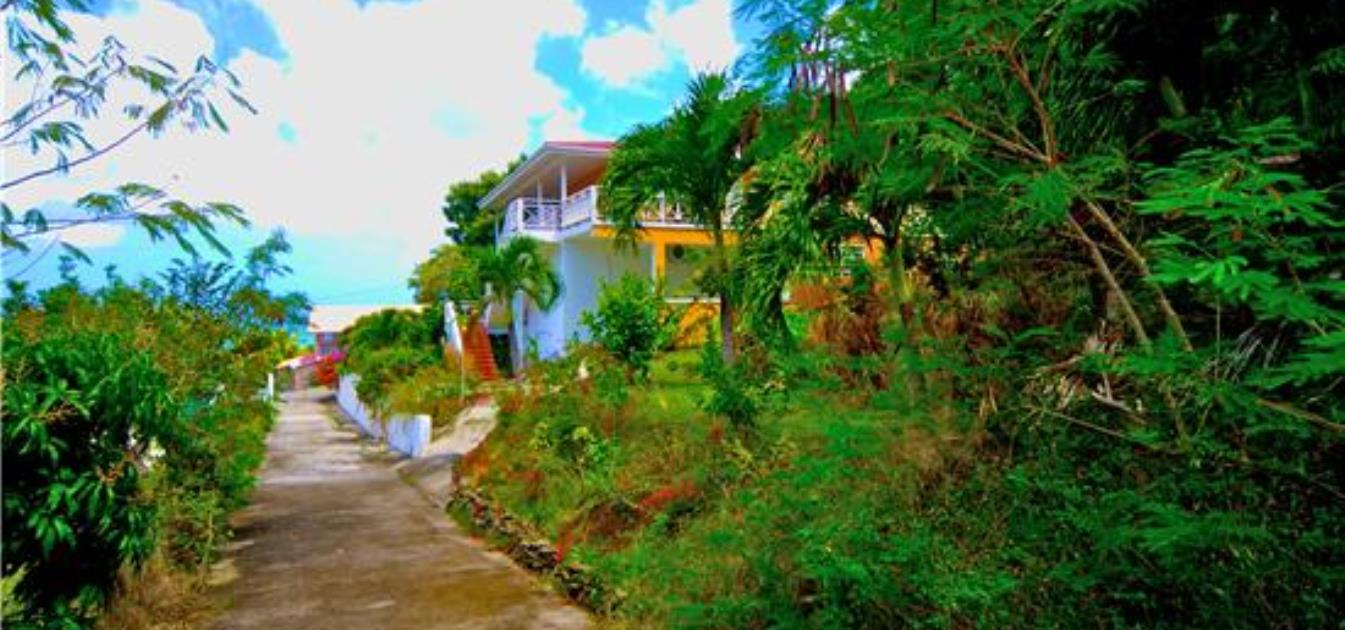 Lower Bay land