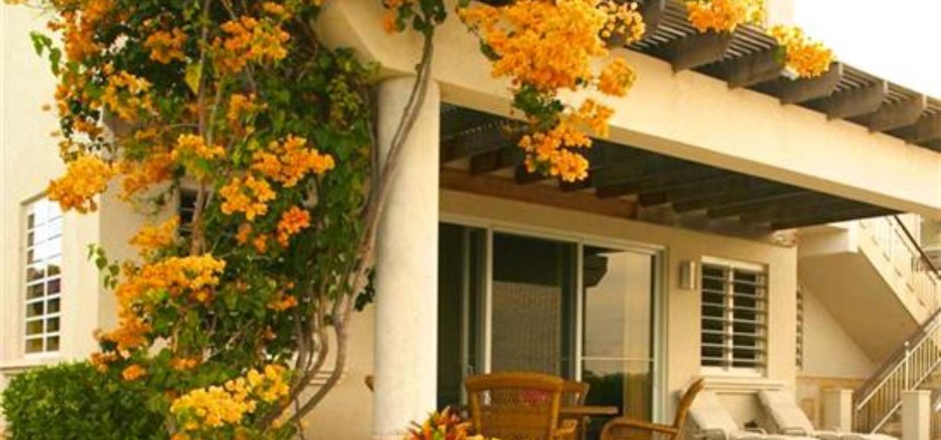 vacation-rentals/anguilla/anguilla/george-hill/little-butterfly