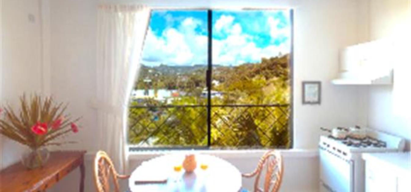 vacation-rentals/st-vincent-and-the-grenadines/st-vincent/india-and-villa-bay/breezeville-apartments