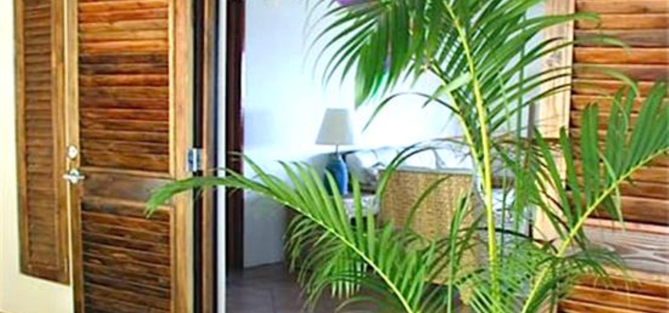 vacation-rentals/st-vincent-and-the-grenadines/bequia/spring/spring-top-house