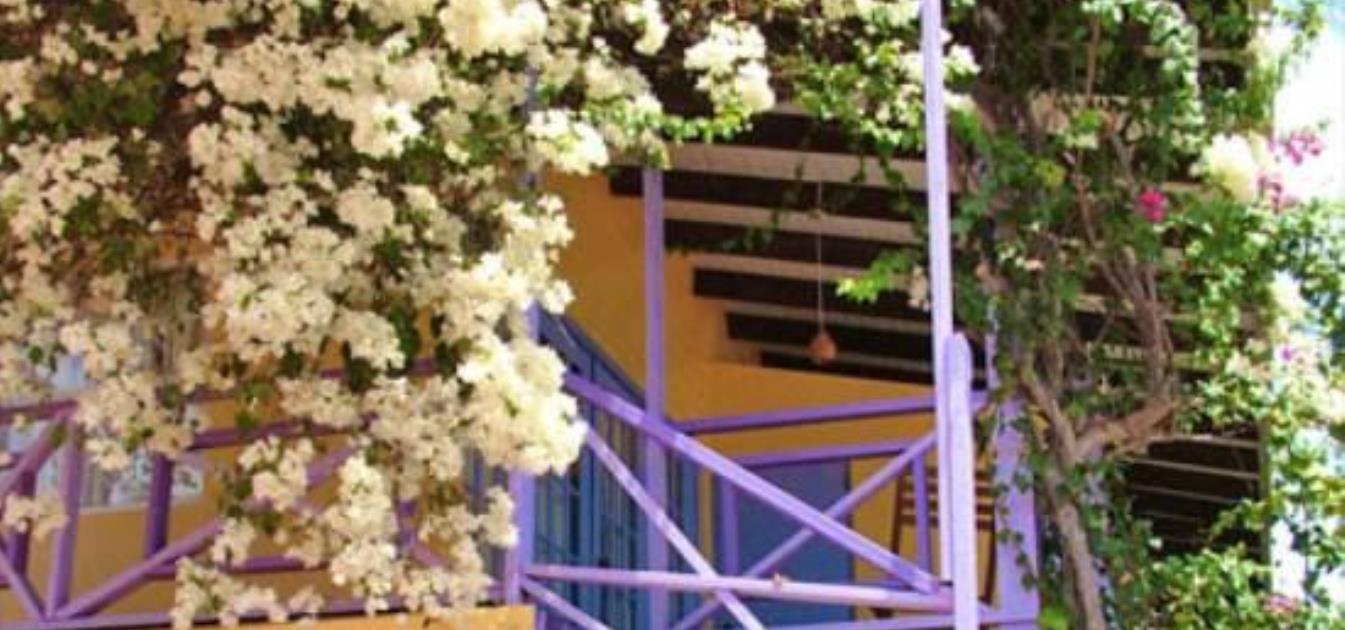 vacation-rentals/grenada/grenada-island/true-blue/blue-bay-style-rooms