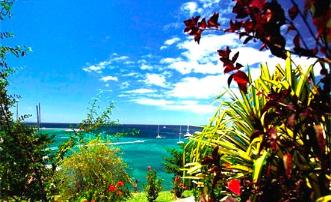 Barefoot Apartment 1 Bedroom