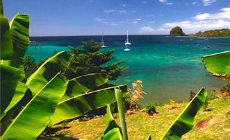 Barefoot Apartment 1 Bedroom