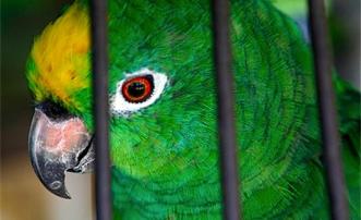 Barefoot Apartment 1 Twin Bedroom