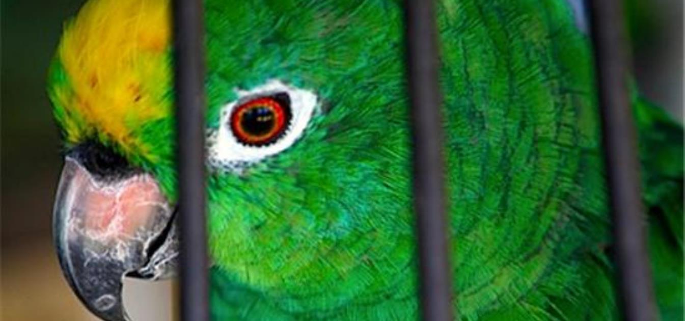 vacation-rentals/st-vincent-and-the-grenadines/st-vincent/blue-lagoon/barefoot-apartment-1-twin-bedroom