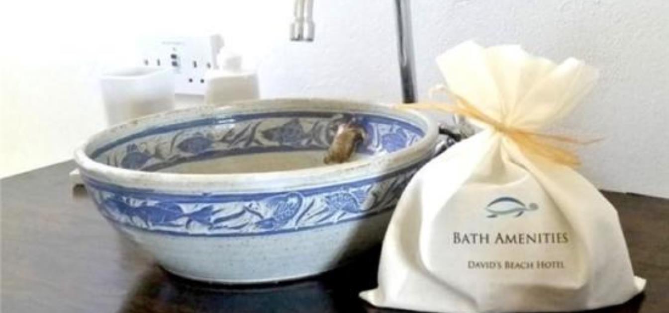 vacation-rentals/st-vincent-and-the-grenadines/union-island/union-island/davids-beach-hotel