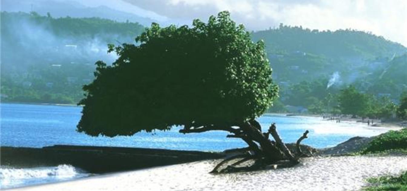 Mount Cinnamon Hacienda 1c