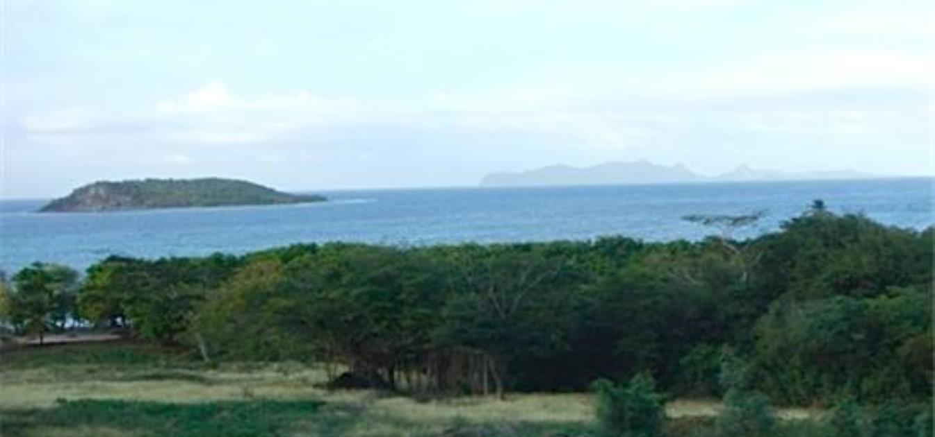 Fiji Beachfront Land