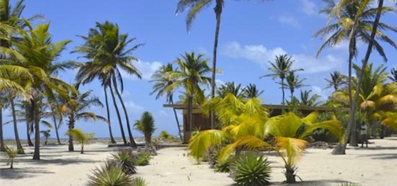 Beachfront Building Plot