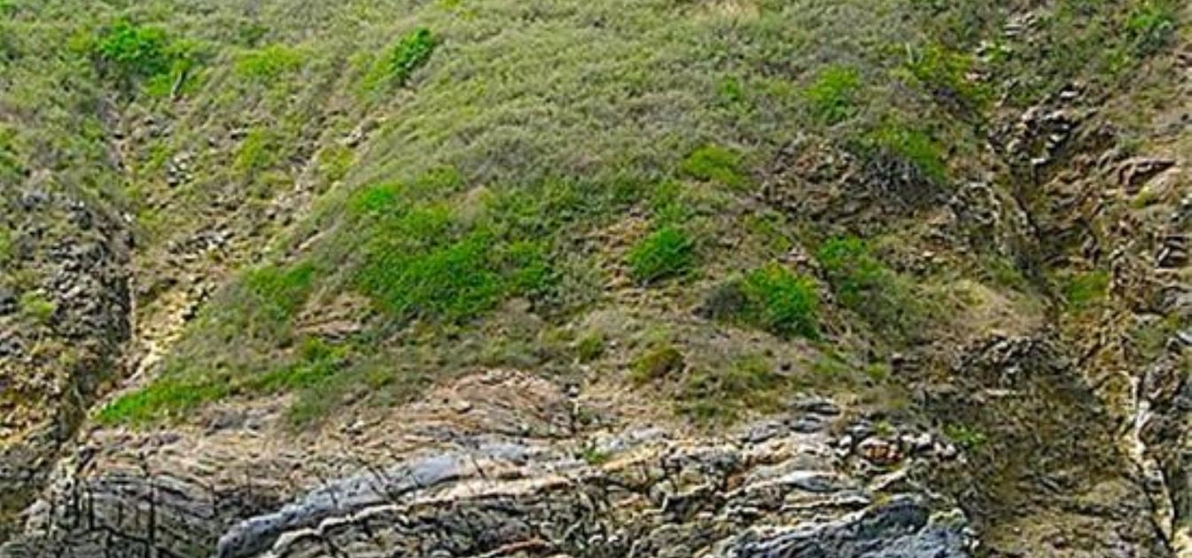 PRIVATE ISLAND British Virgin Islands