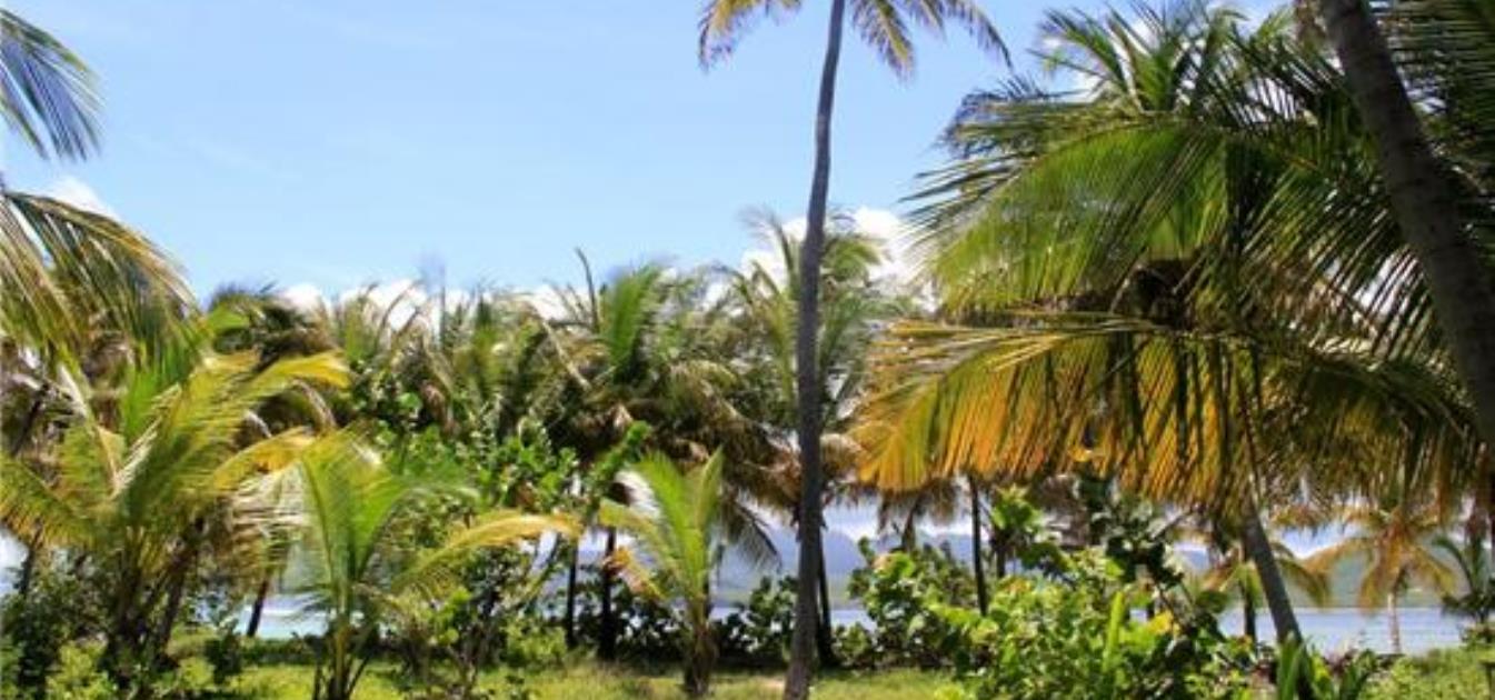 Private Island Sandy Island