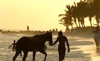 Bougainvillea Beach Resort