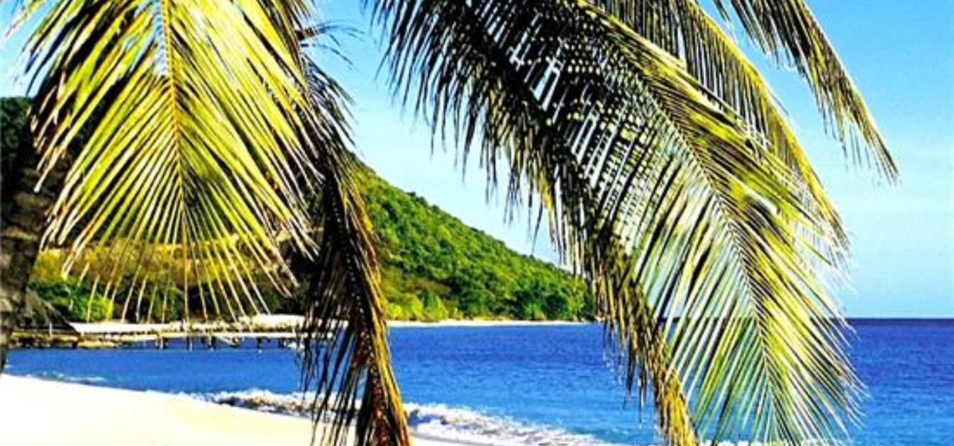 Beachfront Land
