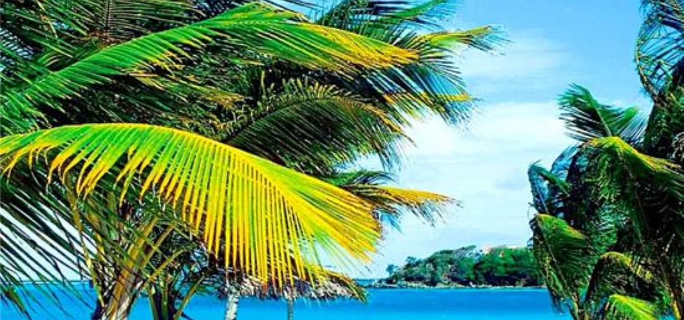 Beachfront Land
