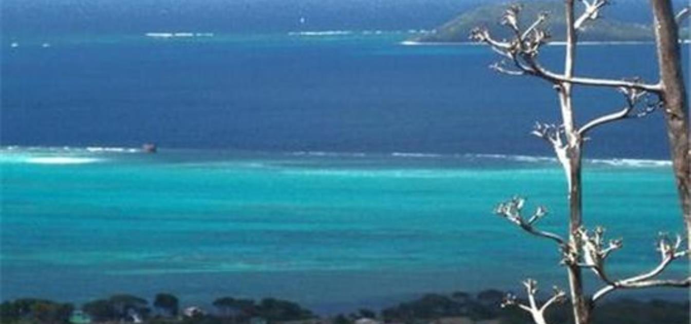 Carriacou Beach Land