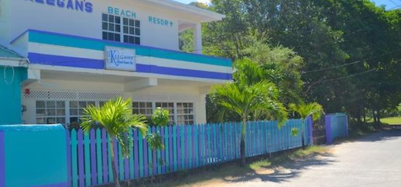 vacation-rentals/st-vincent-and-the-grenadines/bequia/lower-bay/keegan's-apartment-hummingbird