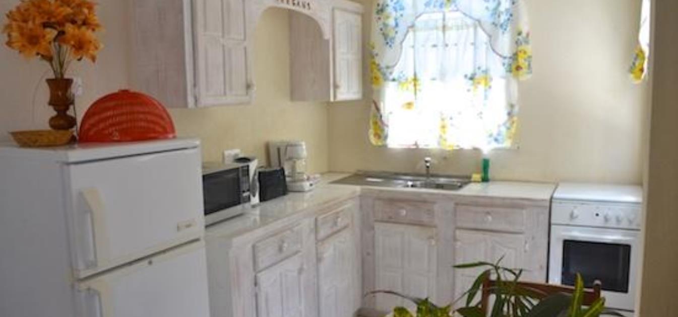 vacation-rentals/st-vincent-and-the-grenadines/bequia/lower-bay/keegan's-apartment-hummingbird