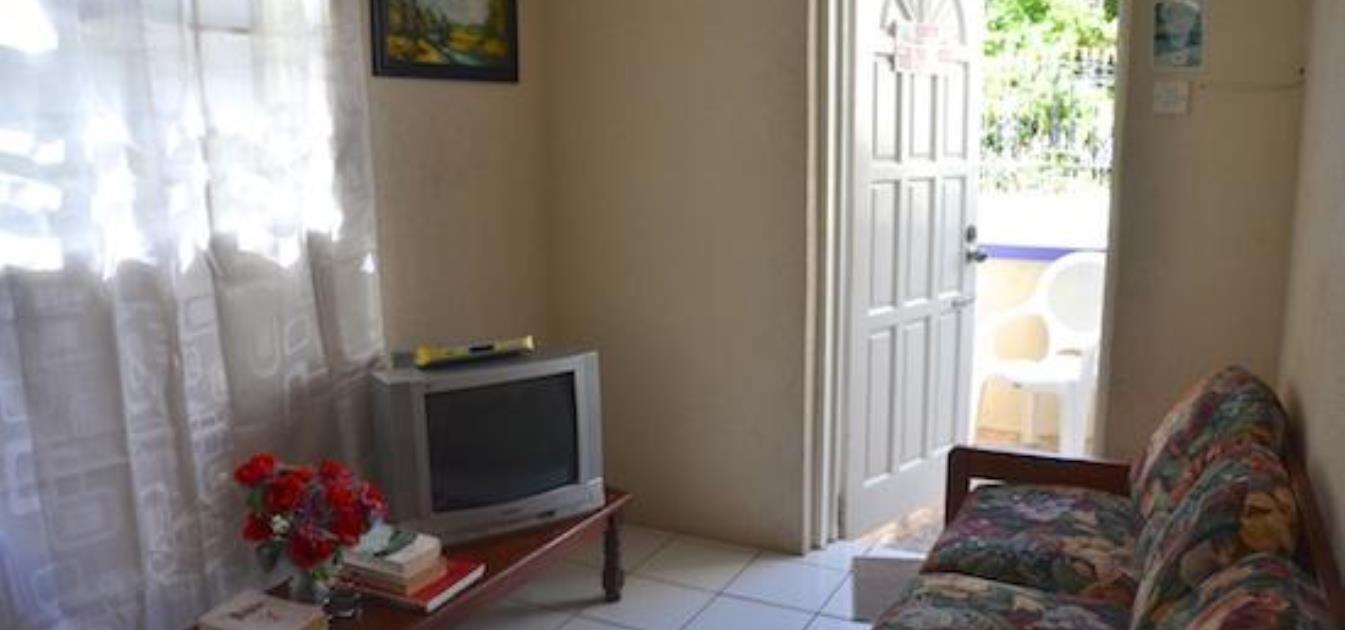 vacation-rentals/st-vincent-and-the-grenadines/bequia/lower-bay/keegan's-apartment-hummingbird