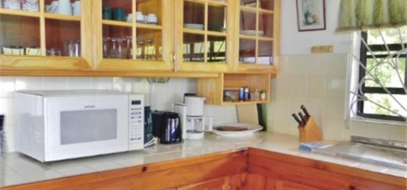 vacation-rentals/st-vincent-and-the-grenadines/bequia/lower-bay/horizon