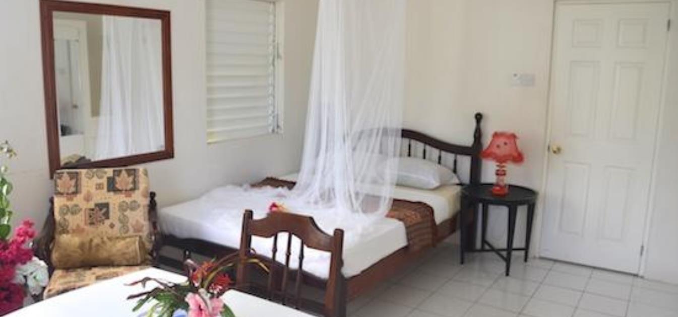 vacation-rentals/st-vincent-and-the-grenadines/bequia/lower-bay/keegan's-cottage-sapodilla