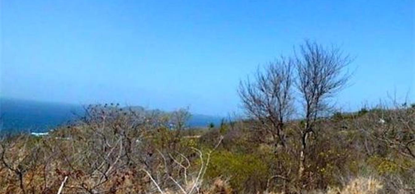 Mount Pleasant Residential Land