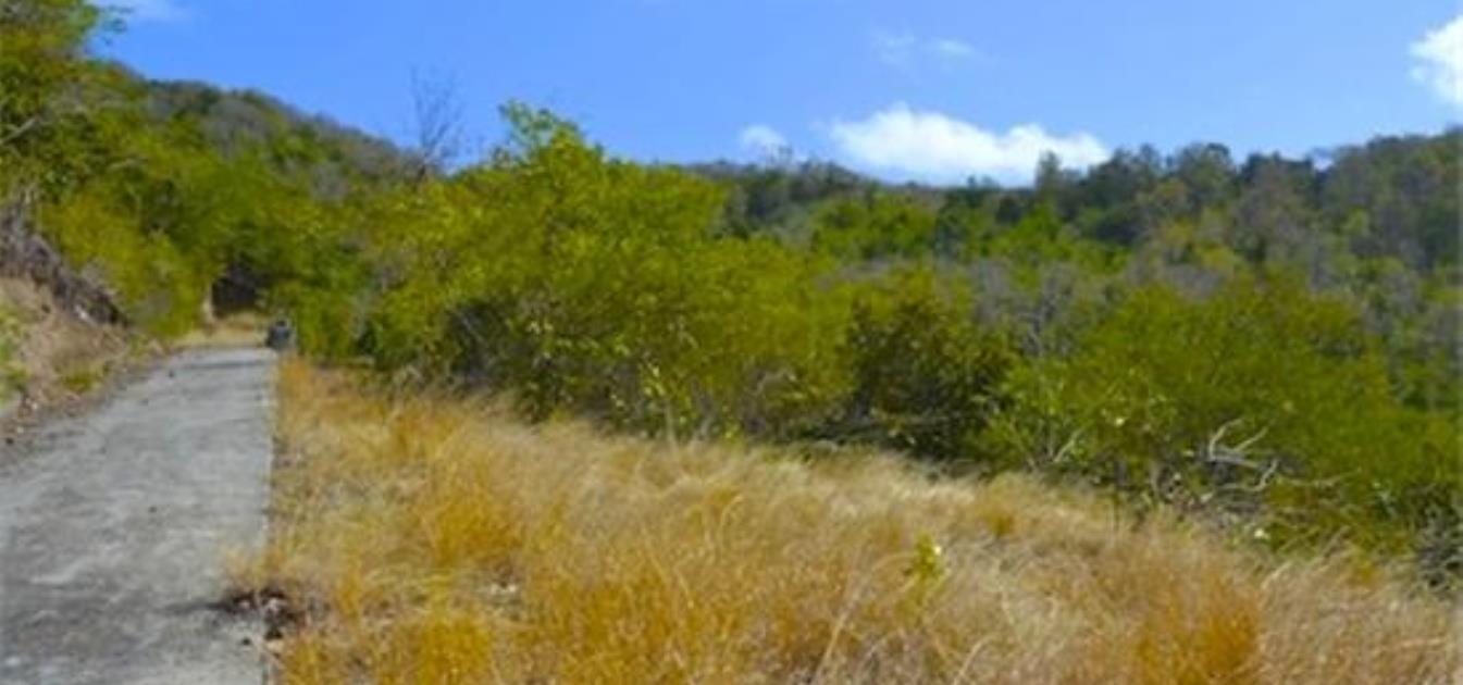 Ocar Plot of Land