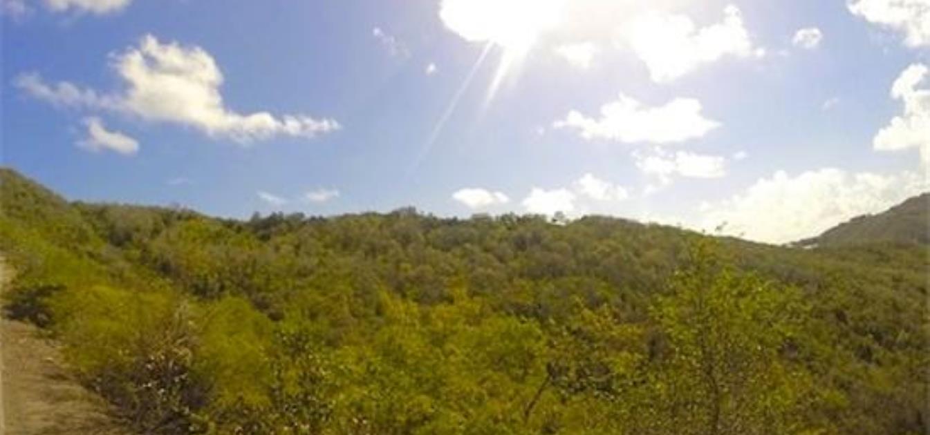 Ocar Plot of Land