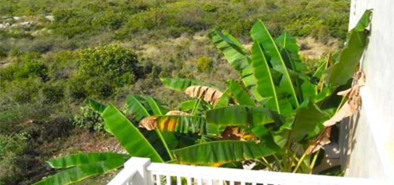 vacation-rentals/anguilla/anguilla/white-hill/james-place-apartments