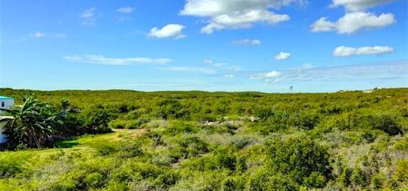 vacation-rentals/anguilla/anguilla/white-hill/james-place-apartments